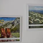 B&B Alpengasthof Schuster 2*