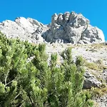 B&B Alpengasthof Schuster