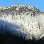 Alpengasthof Schuster 2* Seewiesen