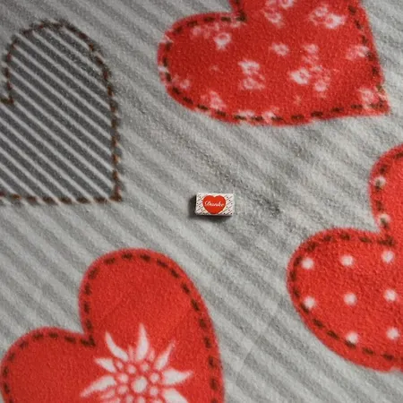 לינה וארוחת בוקר Alpengasthof Schuster 2*