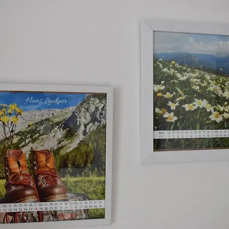 Bed & Breakfast Alpengasthof Schuster 2*