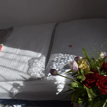 Alpengasthof Schuster 2*