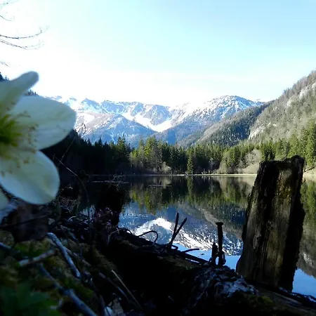 Bed & Breakfast Alpengasthof Schuster Seewiesen