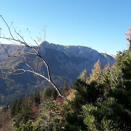 Couette-café Alpengasthof Schuster 2*