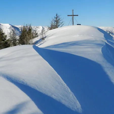 Couette-café Alpengasthof Schuster 2*