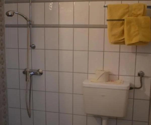 לינה וארוחת בוקר Alpengasthof Schuster Seewiesen