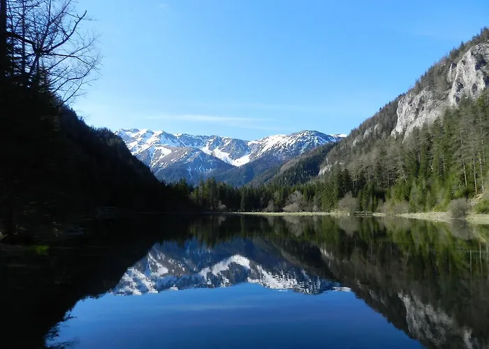 فندق مبيت وإفطار Alpengasthof Schuster Seewiesen