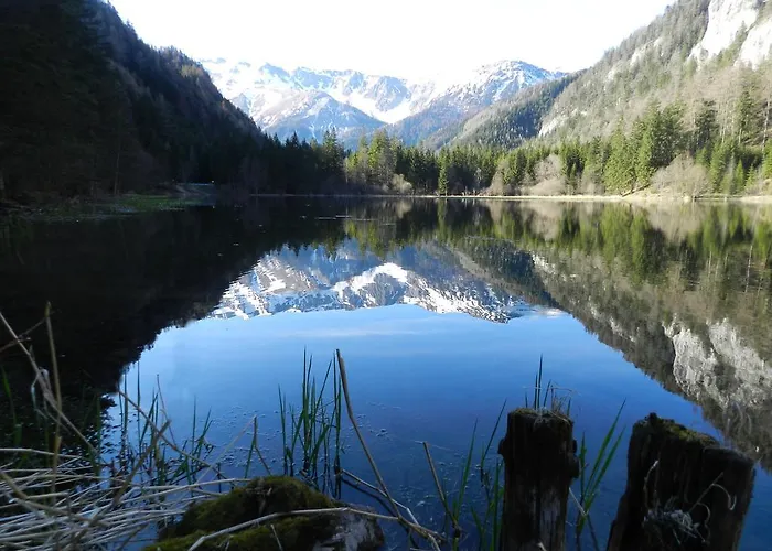 לינה וארוחת בוקר Alpengasthof Schuster 2*