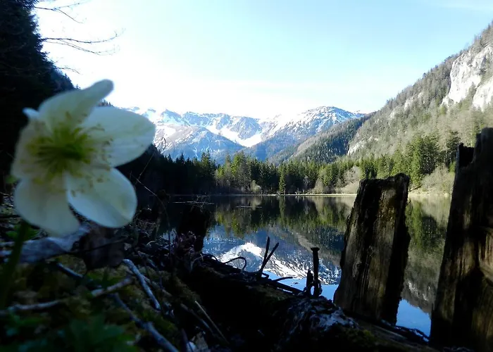 לינה וארוחת בוקר Alpengasthof Schuster Seewiesen