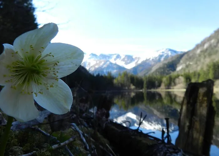 לינה וארוחת בוקר Alpengasthof Schuster