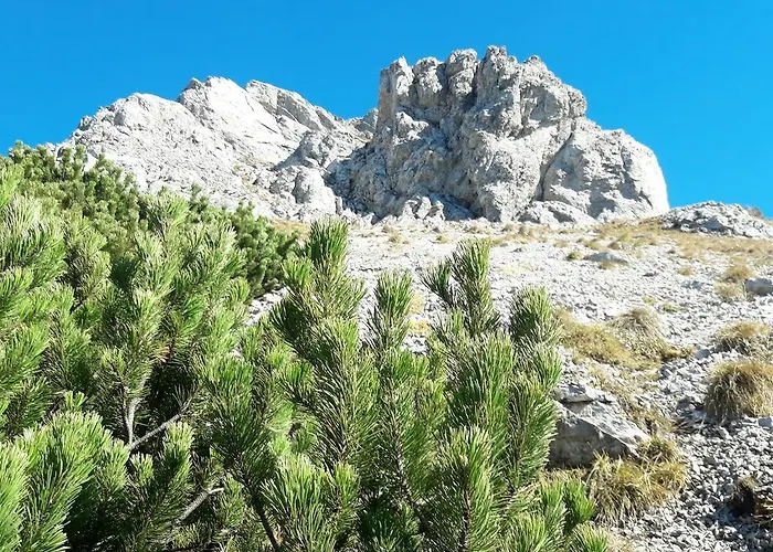 לינה וארוחת בוקר Alpengasthof Schuster