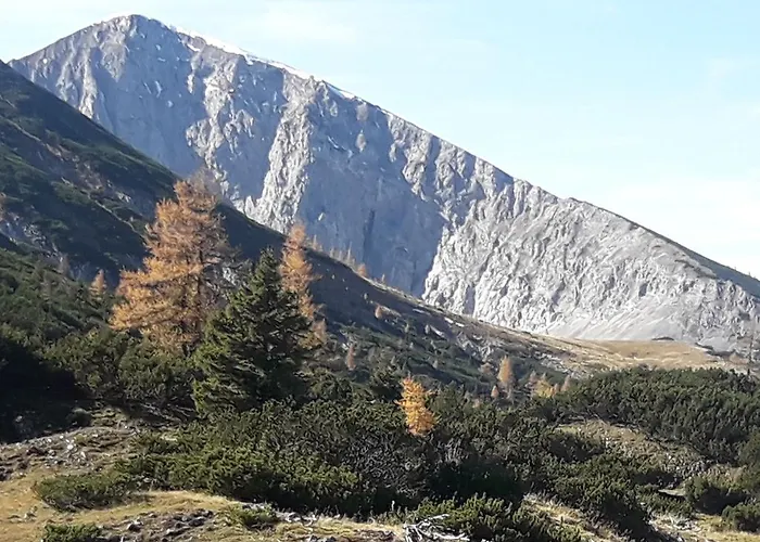 Alpengasthof Schuster فندق مبيت وإفطار Seewiesen