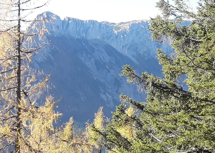 Alpengasthof Schuster