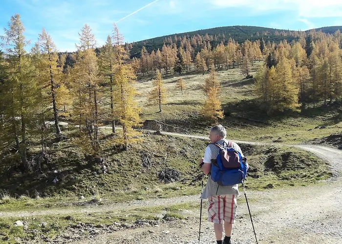 לינה וארוחת בוקר Alpengasthof Schuster