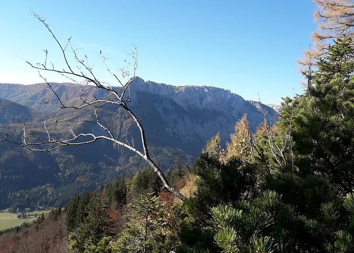 לינה וארוחת בוקר Alpengasthof Schuster 2*