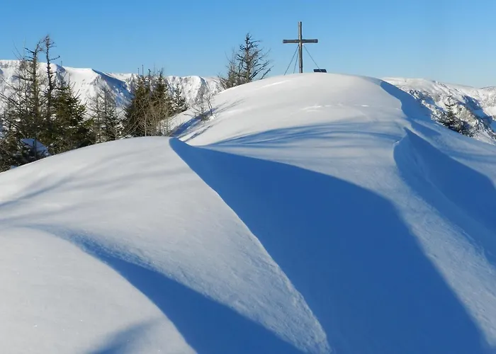 فندق مبيت وإفطار Alpengasthof Schuster 2*