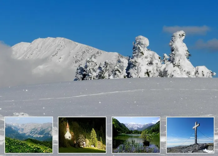 Alpengasthof Schuster