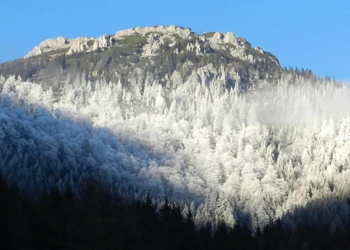 Alpengasthof Schuster 2* Seewiesen